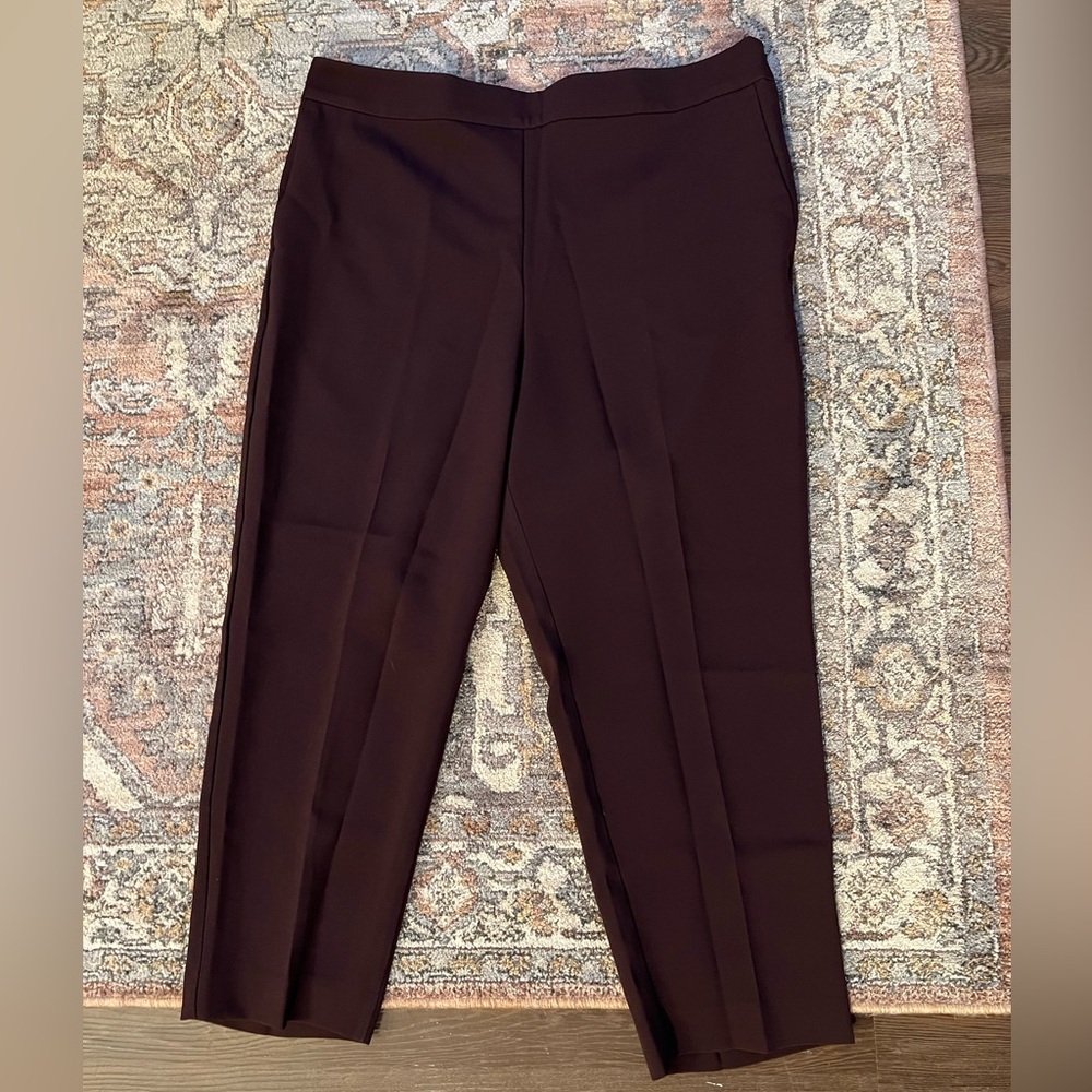 Ann Taylor Women’s Ankle Pants
